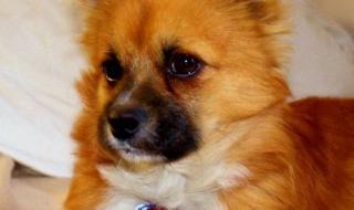 珍惜每一天 珍惜每一天